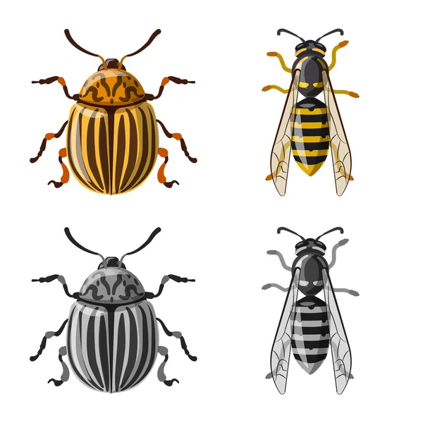 Projeto vetorial do ícone do inseto e da mosca. Conjunto de ícone de inseto e elemento vetorial para estoque . —  Vetores de Stock