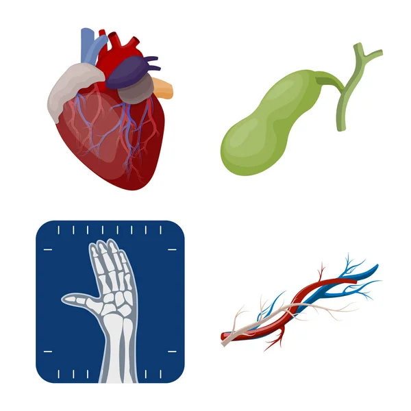 Illustrazione vettoriale del corpo e del segno umano. Raccolta di corpo e stock simbolo medico per il web . — Vettoriale Stock