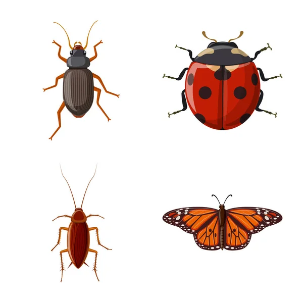 Vektordesign Von Insekten Und Fliegensymbol Set Von Insekten Und Elementvektorsymbolen — Stockvektor