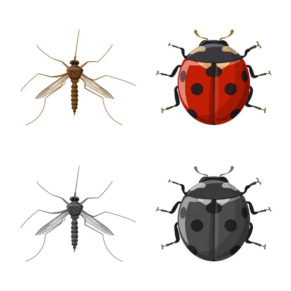 Diseño vectorial del signo de insectos y moscas. Colección de insectos y vector de stock de elementos ilustración . — Archivo Imágenes Vectoriales