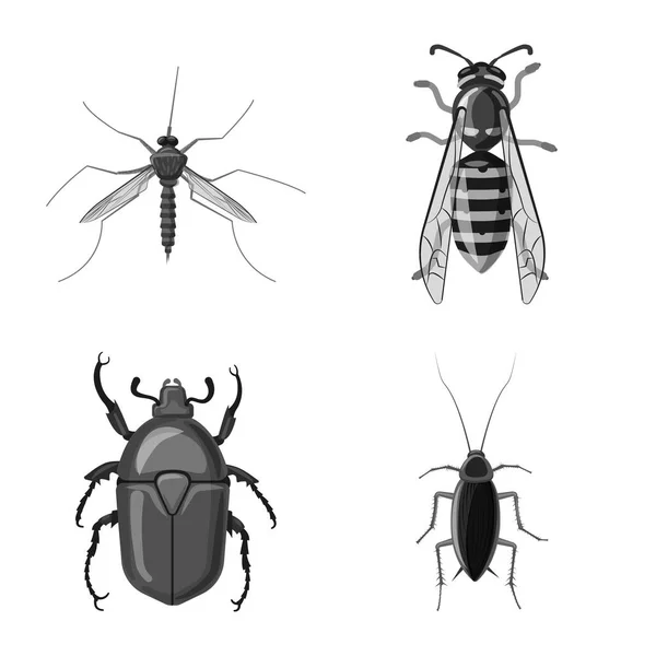 Conception vectorielle de l'icône insecte et mouche. Collecte d'insectes et d'éléments illustration vectorielle de stock . — Image vectorielle