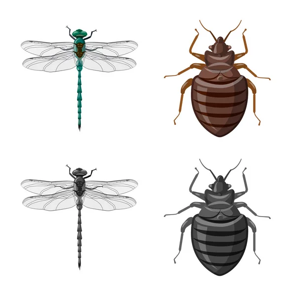 昆虫とフライのロゴのベクター デザイン。昆虫と要素の株式ベクトル図のセット. — ストックベクタ