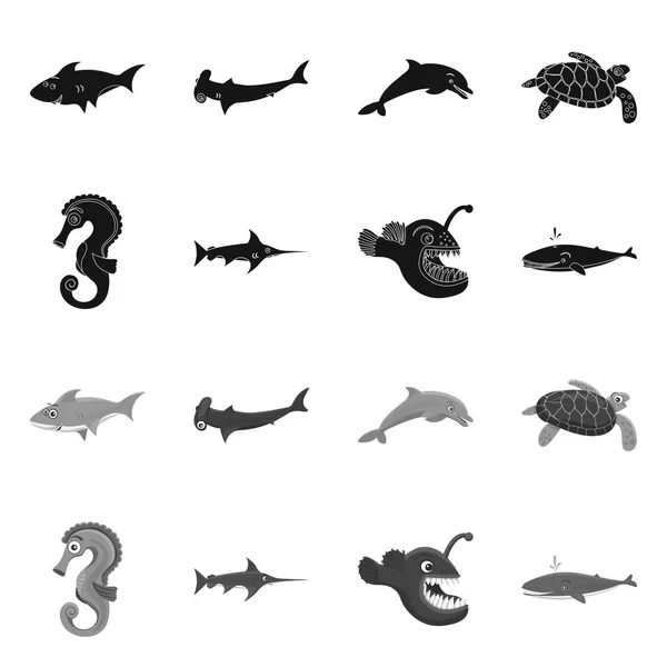 Objeto aislado del logotipo del mar y los animales. Colección de símbolo de stock marino y marino para web . — Vector de stock