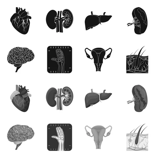 Ilustración vectorial del cuerpo y del icono humano. Colección de cuerpo y vector médico icono para stock . — Vector de stock