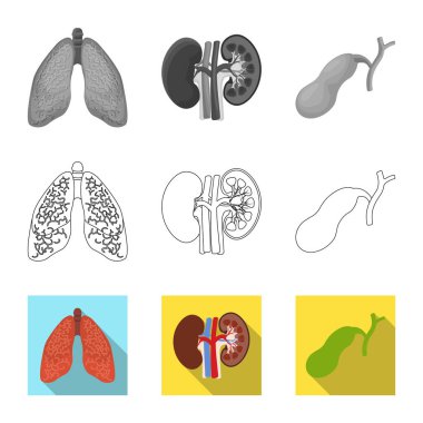 Vücut ve insan izole nesne. Vücut ve tıbbi hisse senedi vektör çizim koleksiyonu.