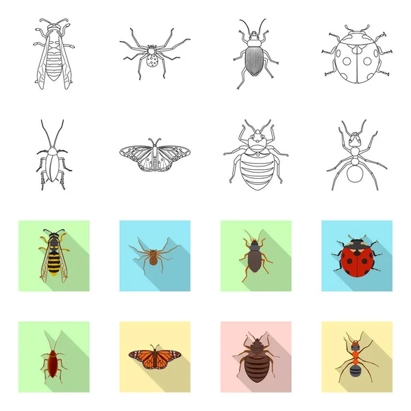 Ilustración Vectorial Del Logotipo Insectos Moscas Colección Insectos Símbolo Stock — Vector de stock