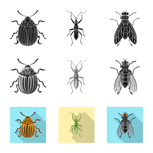 Ilustração vetorial de inseto e mosca. Coleção de ilustração vetorial de estoque de insetos e elementos . —  Vetores de Stock