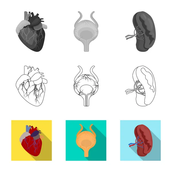 Illustrazione vettoriale del corpo e del simbolo umano. Set di illustrazione vettoriale corpo e stock medico . — Vettoriale Stock