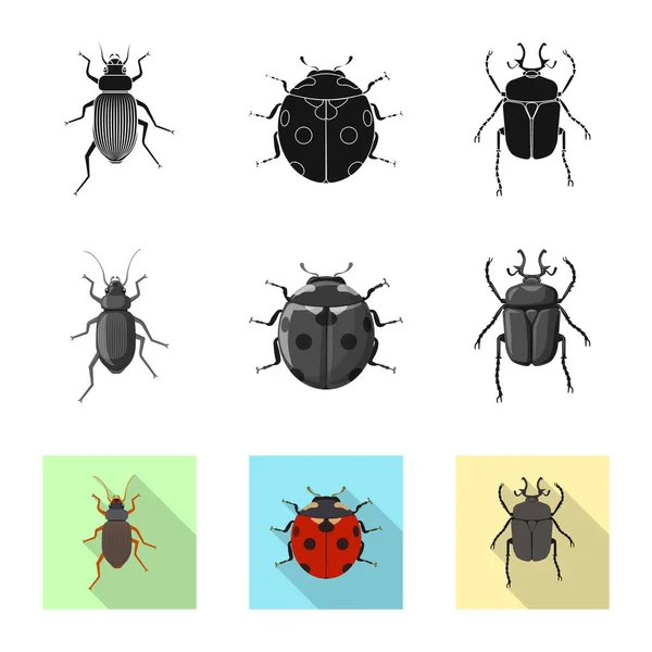 곤충과 비행 로그인의 고립 된 개체입니다. 주식에 대 한 곤충 및 요소 벡터 아이콘의 컬렉션. — 스톡 벡터