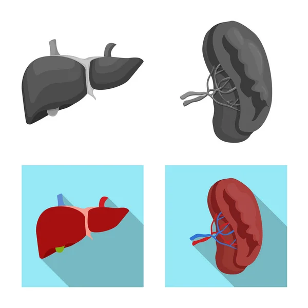 Ilustración vectorial del cuerpo y del símbolo humano. Colección de cuerpo y el símbolo de stock médico para la web . — Archivo Imágenes Vectoriales