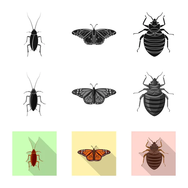 Geïsoleerde object van insecten en vliegen pictogram. Collectie van insect en element voorraad vectorillustratie. — Stockvector