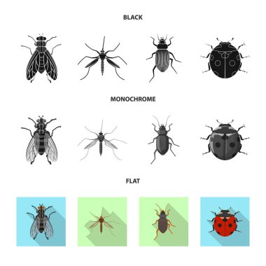 Böcek ve sinek logo vektör Illustration. Böcek ve öğe hisse senedi vektör çizim topluluğu.