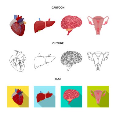 Vücut ve insan simge vektör Illustration. Vücut ve hisse senedi için tıbbi vektör simge kümesi.