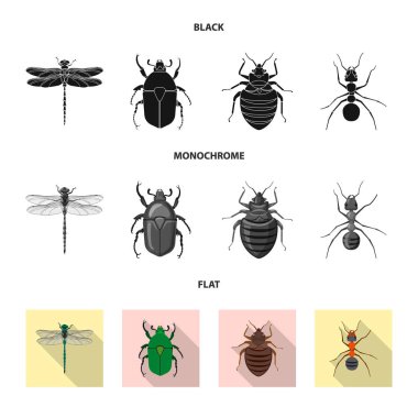 Böcek ve sinek simge vektör tasarımı. Web için böcek ve öğe hisse senedi simgesi kümesi.