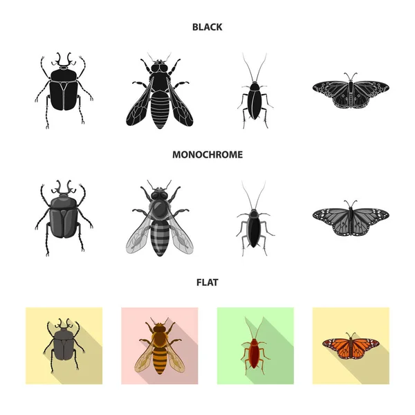 곤충과 비행 로그인의 벡터 디자인입니다. 웹에 대 한 곤충과 요소 주식 기호 모음. — 스톡 벡터