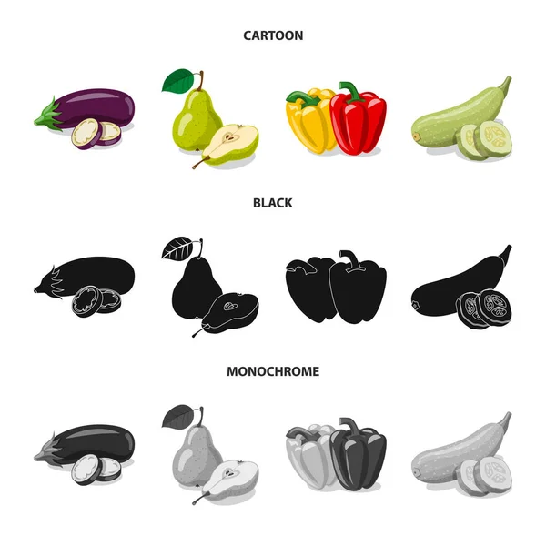 Illustration vectorielle du signe des légumes et fruits. Collection d'illustrations vectorielles de légumes et de bouillon végétarien . — Image vectorielle
