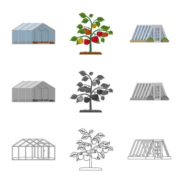 Oggetto isolato di serra e icona della pianta. Raccolta di icone vettoriali serra e giardino per magazzino . — Vettoriale Stock