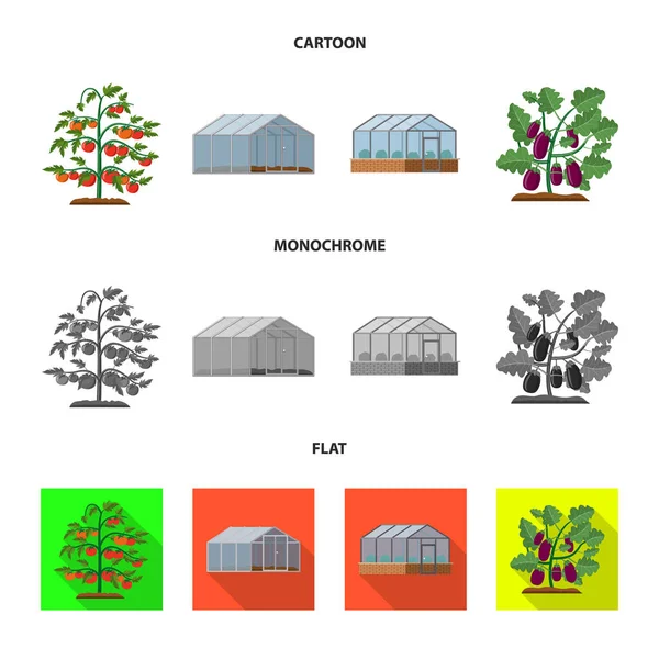 Ilustracja wektorowa roślin cieplarnianych i logo. Kolekcja cieplarnianych i ogród wektor ikona na magazynie. — Wektor stockowy