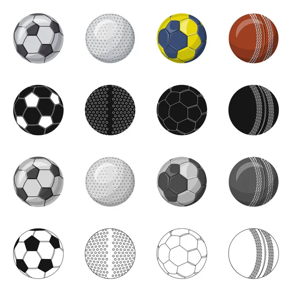Ilustración vectorial del deporte y el signo de pelota. Colección de deporte y símbolo de stock atlético para la web . — Vector de stock