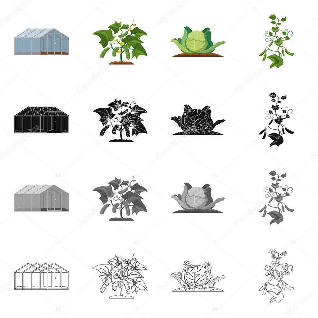 Vector design of greenhouse and plant icon. Collection of greenhouse and garden stock symbol for web.