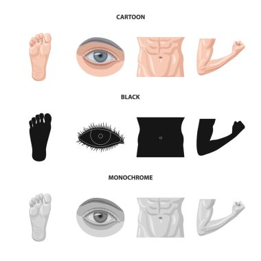 İnsan ve yarım simgesi yalıtılmış nesne. İnsan topluluğu ve hisse senedi için kadın vektör simgesi.