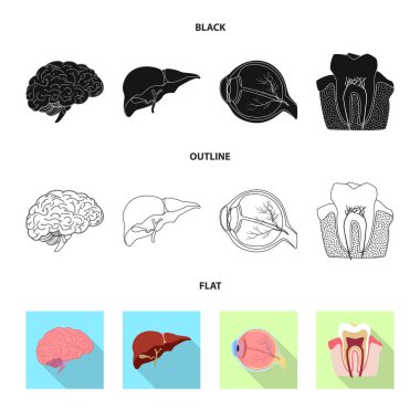 Vücut ve insan işareti yalıtılmış nesne. Vücut ve hisse senedi için tıbbi vektör ikon koleksiyonu.