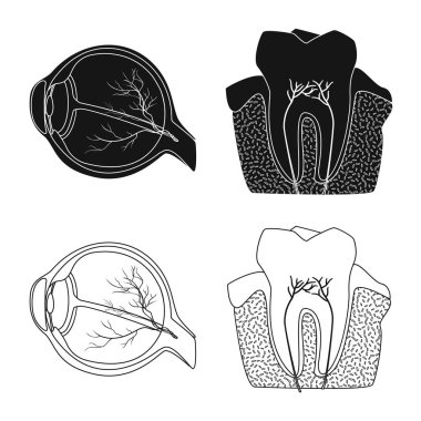 Vücut ve insan işareti vektör tasarımı. Vücut ve tıbbi hisse senedi vektör çizim.