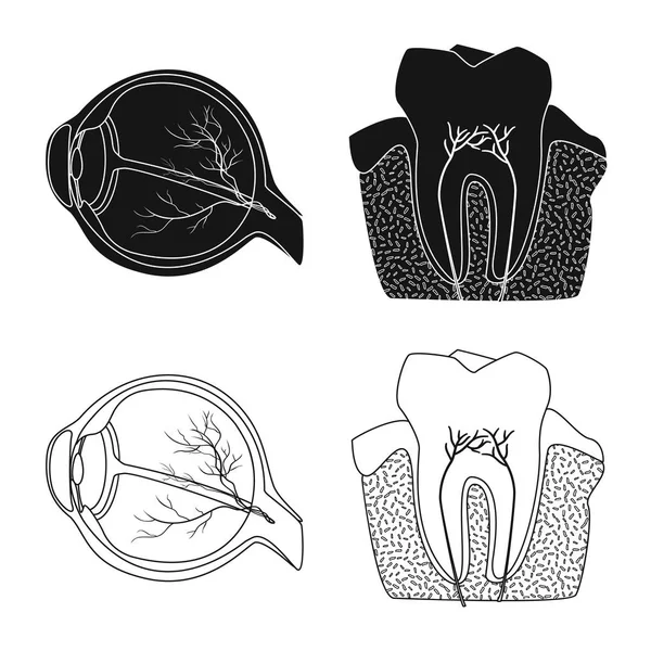 Vücut ve insan işareti vektör tasarımı. Vücut ve tıbbi hisse senedi vektör çizim.