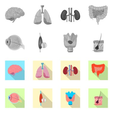 Vücut ve insan logo vektör tasarımı. Vücut ve web için tıbbi hisse senedi simgesi toplama.