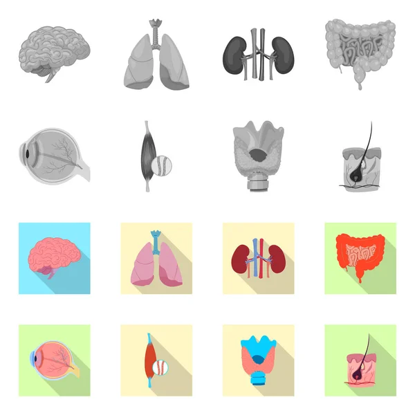 Conception vectorielle du corps et du logo humain. Collecte de corps et de matériel médical symbole pour le web . — Image vectorielle