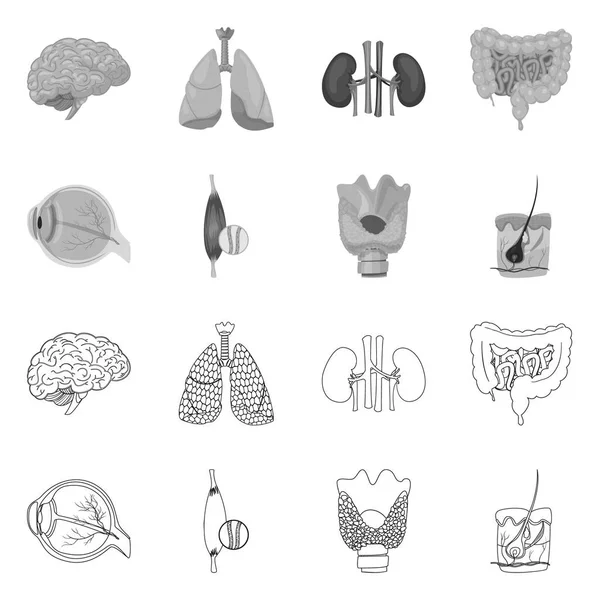Vücut ve insan simge vektör tasarımı. Vücut ve hisse senedi için tıbbi vektör ikon koleksiyonu.