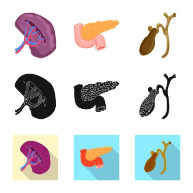 Vücut ve insan izole nesne. Vücut ve hisse senedi için tıbbi vektör simge kümesi.