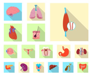 Vücut ve insan izole nesne. Vücut ve tıbbi hisse senedi vektör çizim koleksiyonu.