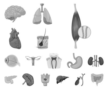 Vücut ve insan simge vektör tasarımı. Vücut ve hisse senedi için tıbbi vektör simge kümesi.
