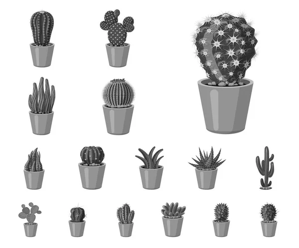 Vector ontwerp van pictogram cactus en pot. Set cactus en cactussen vector pictogram voor voorraad. — Stockvector