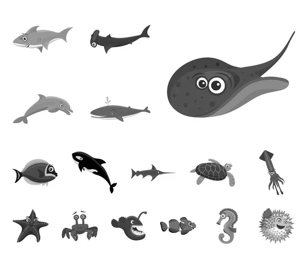 Diseño vectorial del icono del mar y los animales. Colección de ilustración de vectores marinos y marinos . — Vector de stock