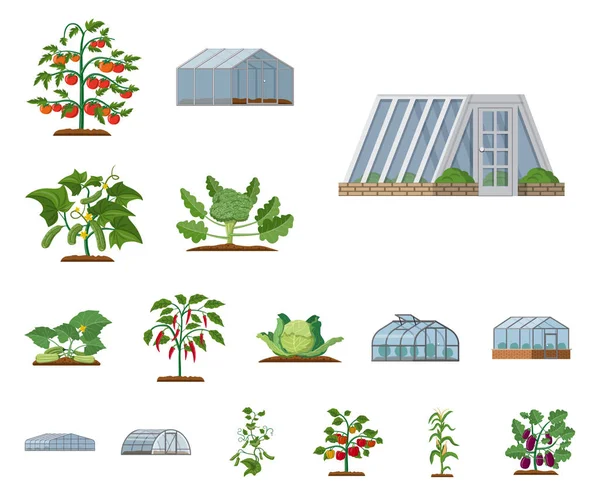 Elkülönített objektum üvegházhatást okozó és növényi szimbóluma. Üvegházhatást okozó és a kert tőzsdei szimbólum a web gyűjteménye. — Stock Vector