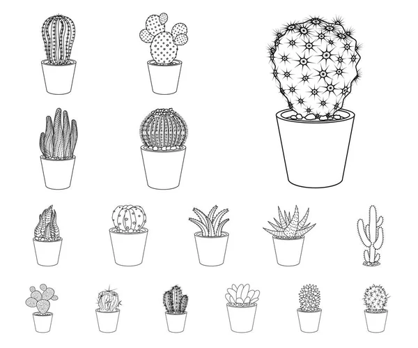 Objeto aislado de cactus e ícono del pote. Colección de cactus y cactus stock vector ilustración . — Archivo Imágenes Vectoriales