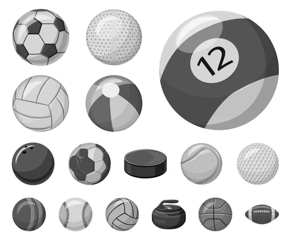 Isolated object of sport and ball logo. Collection of sport and athletic vector icon for stock. — Stock Vector