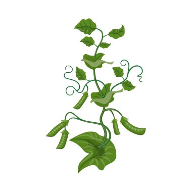 Sera ve bitki işareti tasarımını vektör. Sera ve Bahçe hisse senedi vektör çizim.