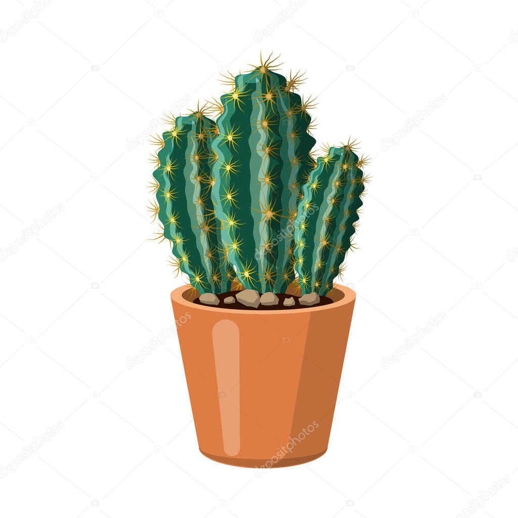 Vector illustration of cactus and pot symbol. Collection of cactus and cacti vector icon for stock.