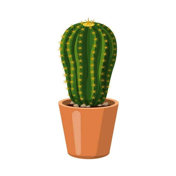 Objet isolé de cactus et signe de pot. Collection d'icônes vectorielles cactus et cactus en stock . — Image vectorielle