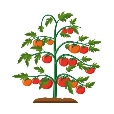 Sera ve bitki logo vektör Illustration. Sera ve Bahçe hisse senedi simgesi web için set.