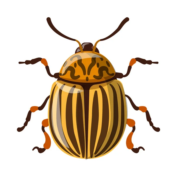 Objeto aislado de insecto y mosca símbolo. Colección de insectos y vector de stock de elementos ilustración . — Archivo Imágenes Vectoriales