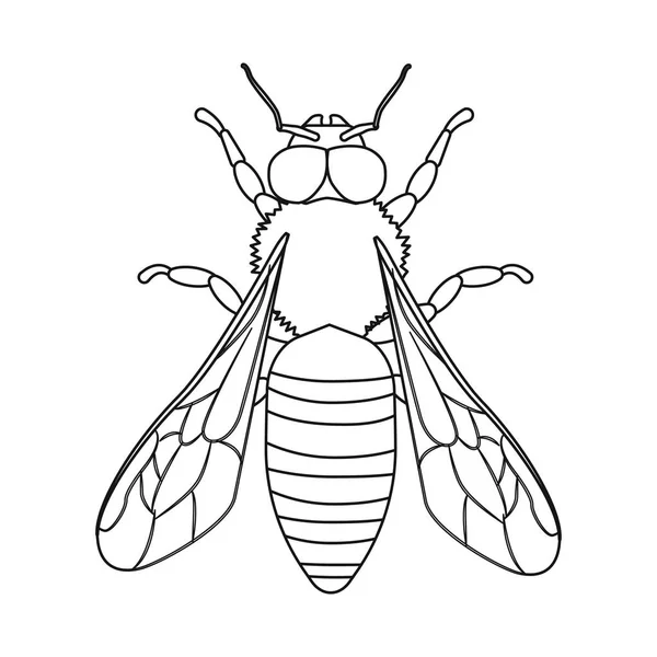 Ilustración Vectorial Del Símbolo Insectos Moscas Conjunto Insecto Elemento Símbolo — Vector de stock