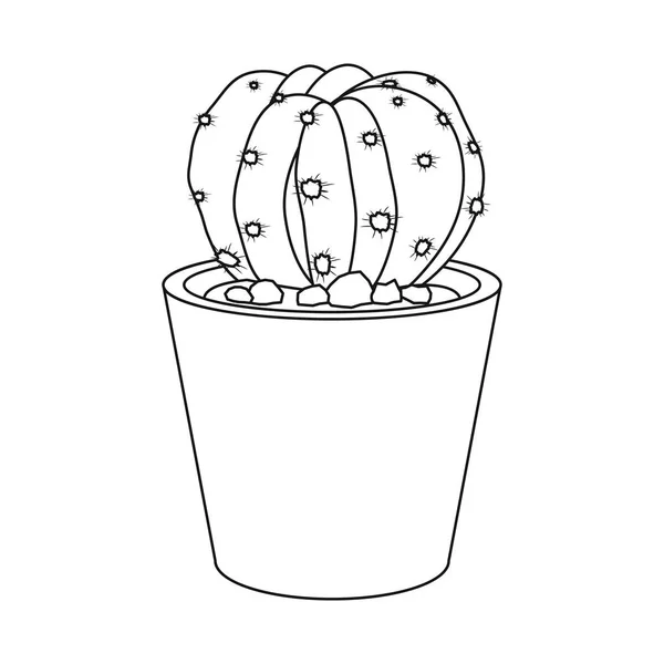 Geïsoleerde object van cactus en pot logo. Verzameling van cactus en cactussen voorraad vectorillustratie. — Stockvector