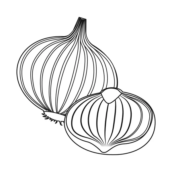 Objet isolé de légume et de fruit symbole. Ensemble d'illustration vectorielle de légumes et de bouillon végétarien . — Image vectorielle