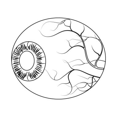 Vücut ve insan işareti yalıtılmış nesne. Vücut ve web için tıbbi hisse senedi simgesi.