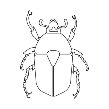 Böcek ve sinek simgesi yalıtılmış nesne. Böcek ve öğe hisse senedi simgesi için web topluluğu.