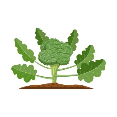 Sera ve bitki simge vektör Illustration. Sera ve Bahçe hisse senedi vektör çizim.